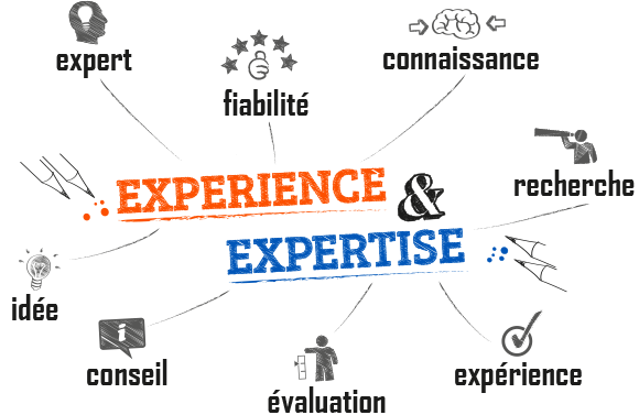 Experience expertise multicompétences