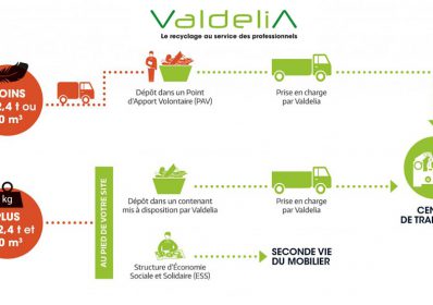 valdelia