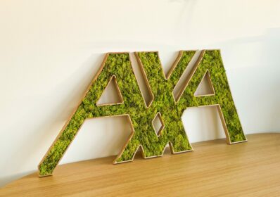 Logo végétal AXA